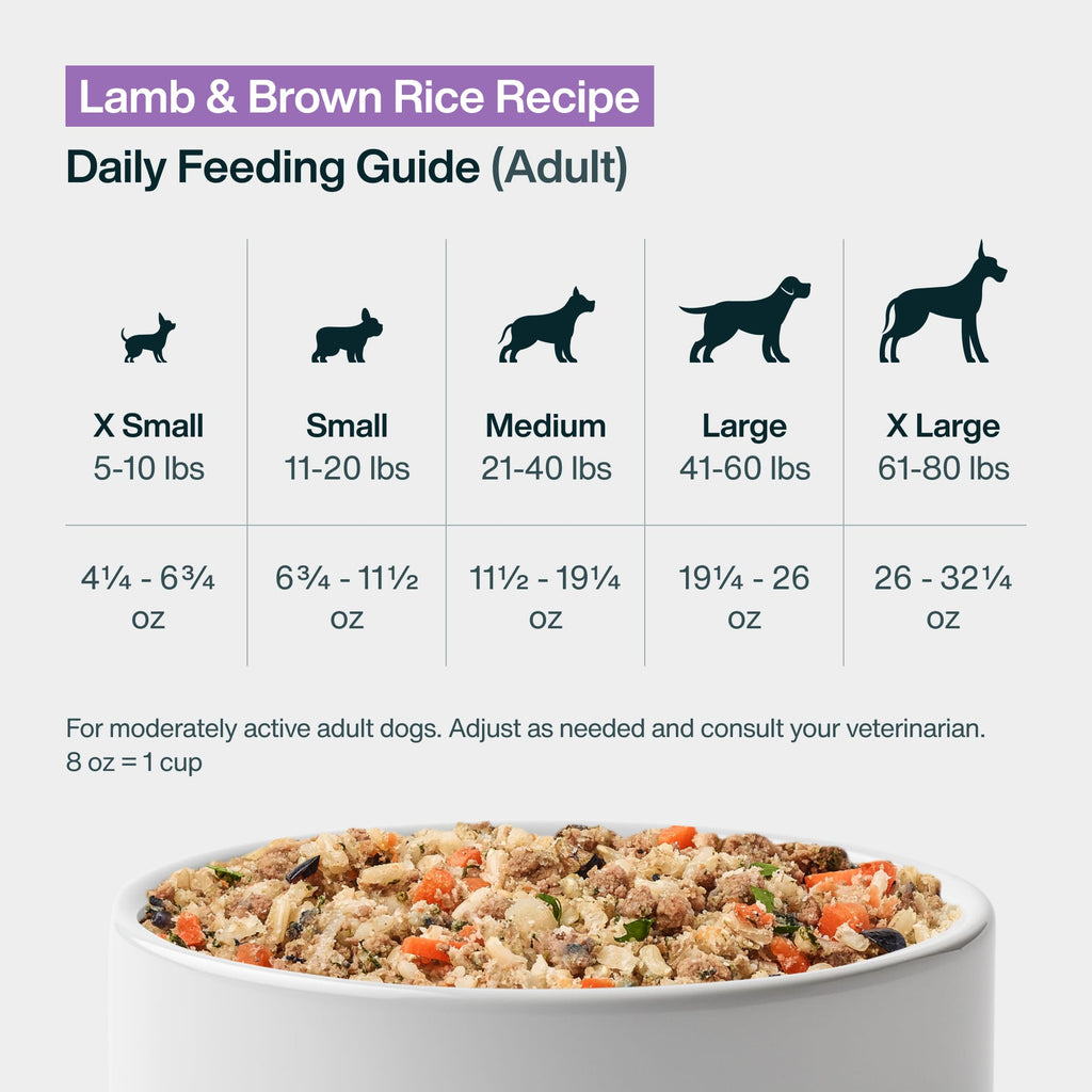 Lamb & Brown Rice Dog Food