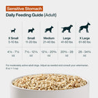 Sensitive Stomach