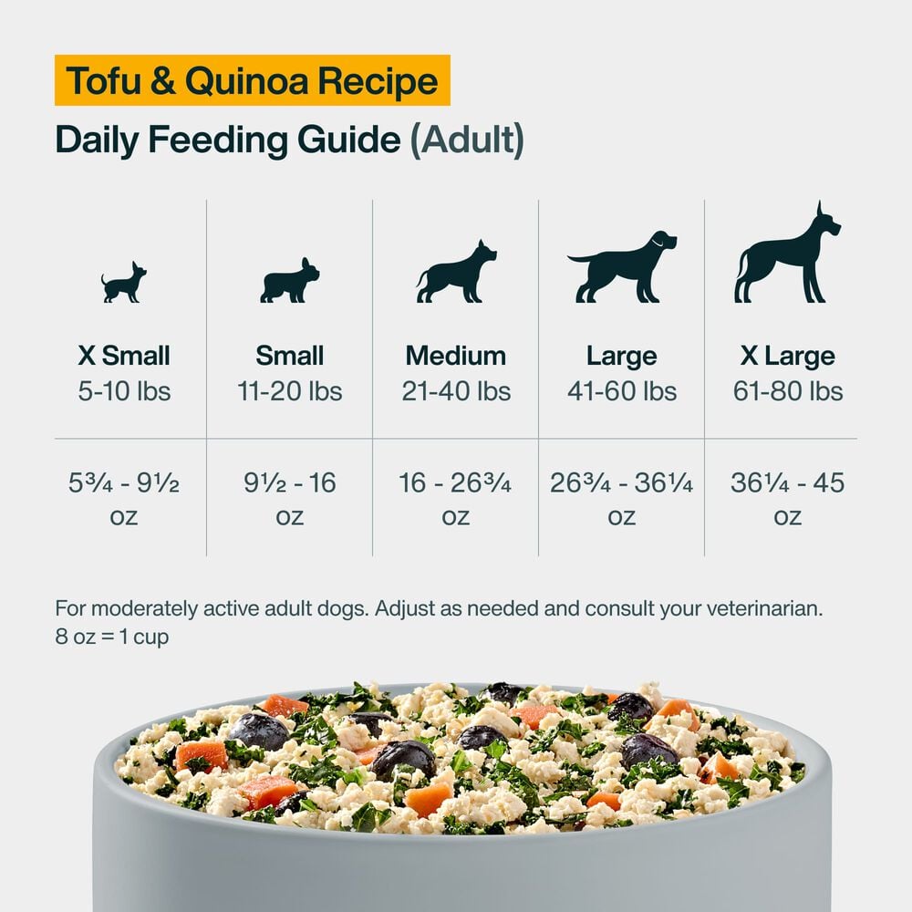 Tofu & Quinoa