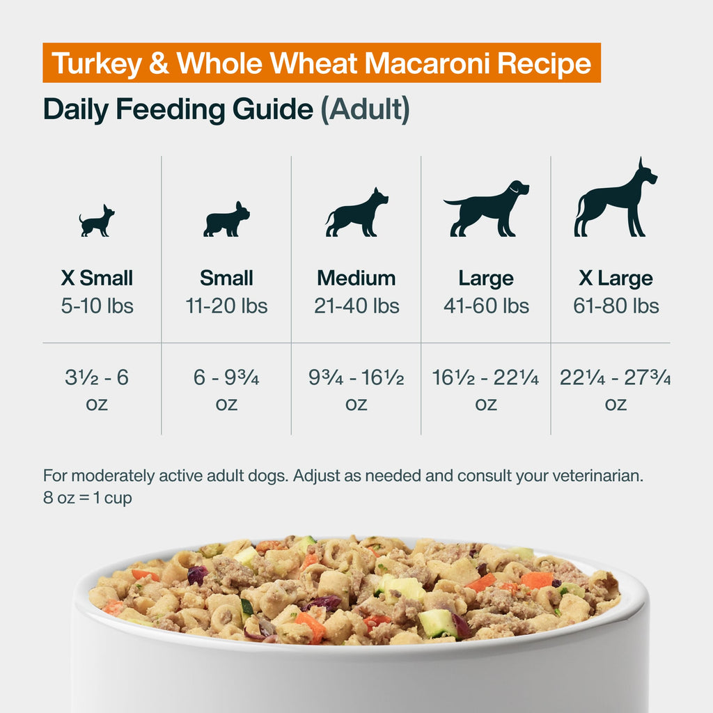 Turkey & Whole Wheat Macaroni Recipe