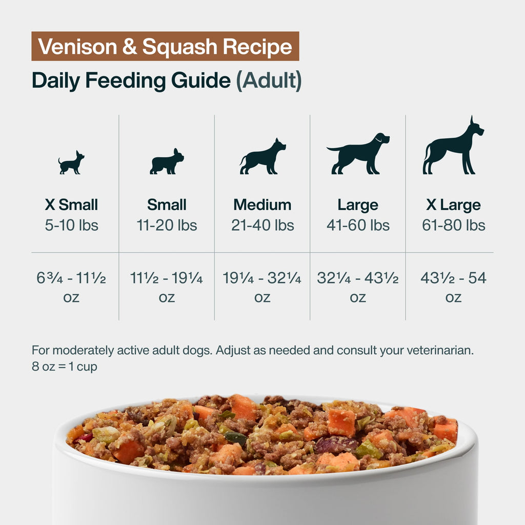 Venison & Squash Dog Food
