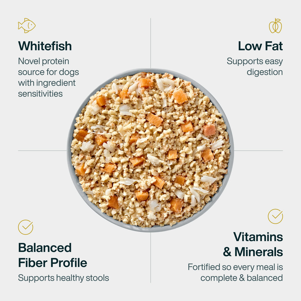 Digestive Care