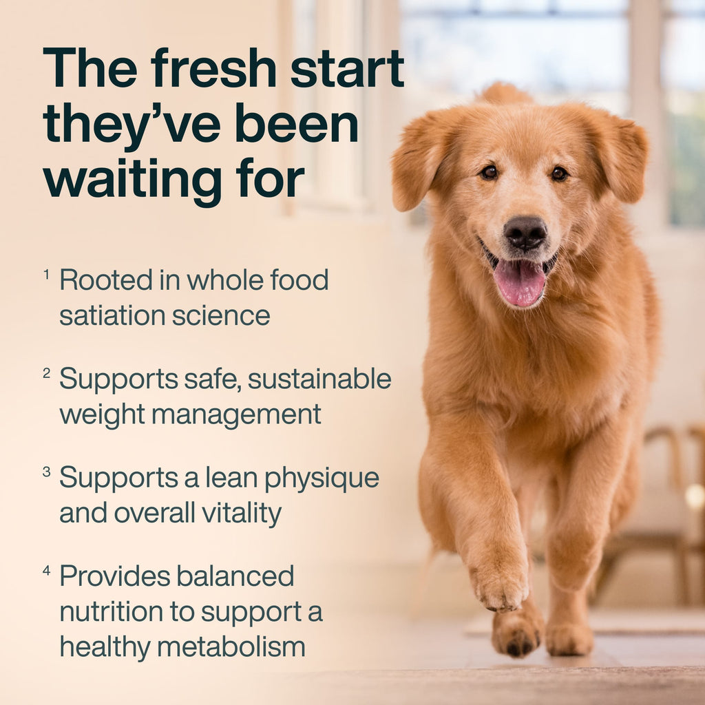 JustFresh Healthy Weight
