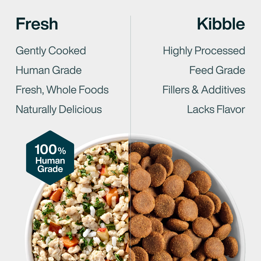 Pantry Fresh Chicken & Rice
