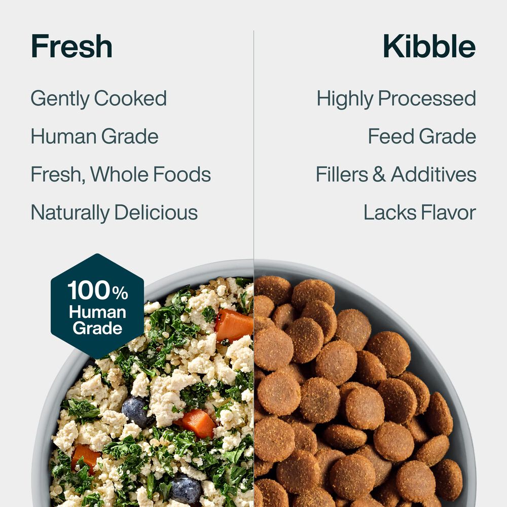 Tofu & Quinoa