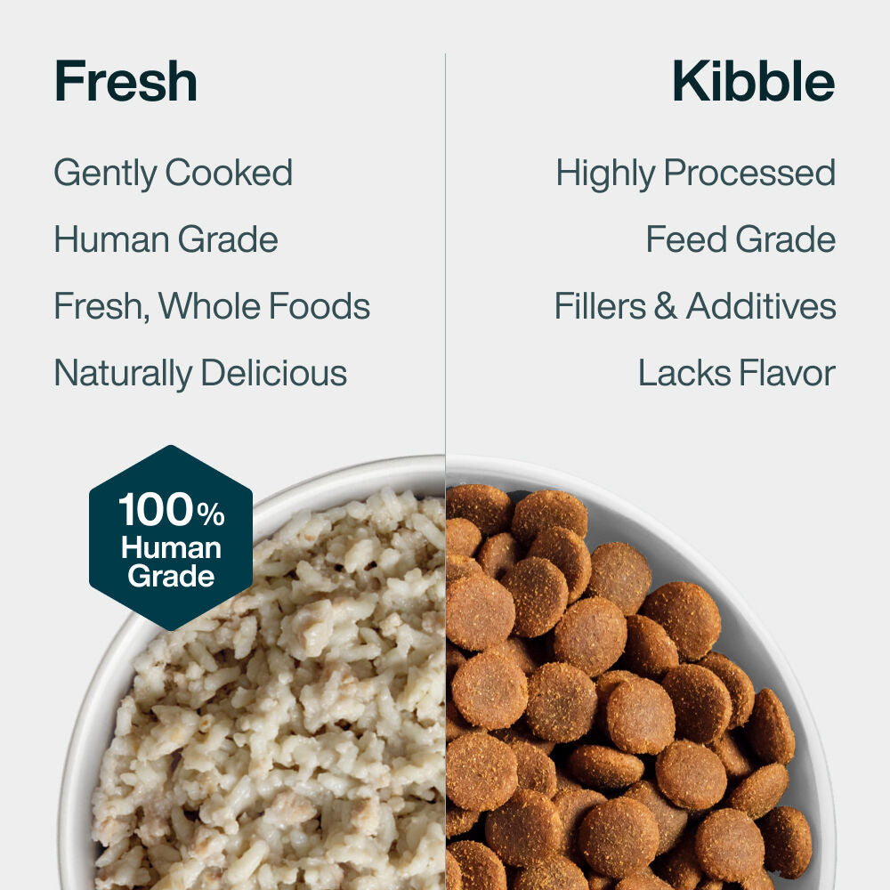 Pantry Fresh Healthy Digestion Bundle