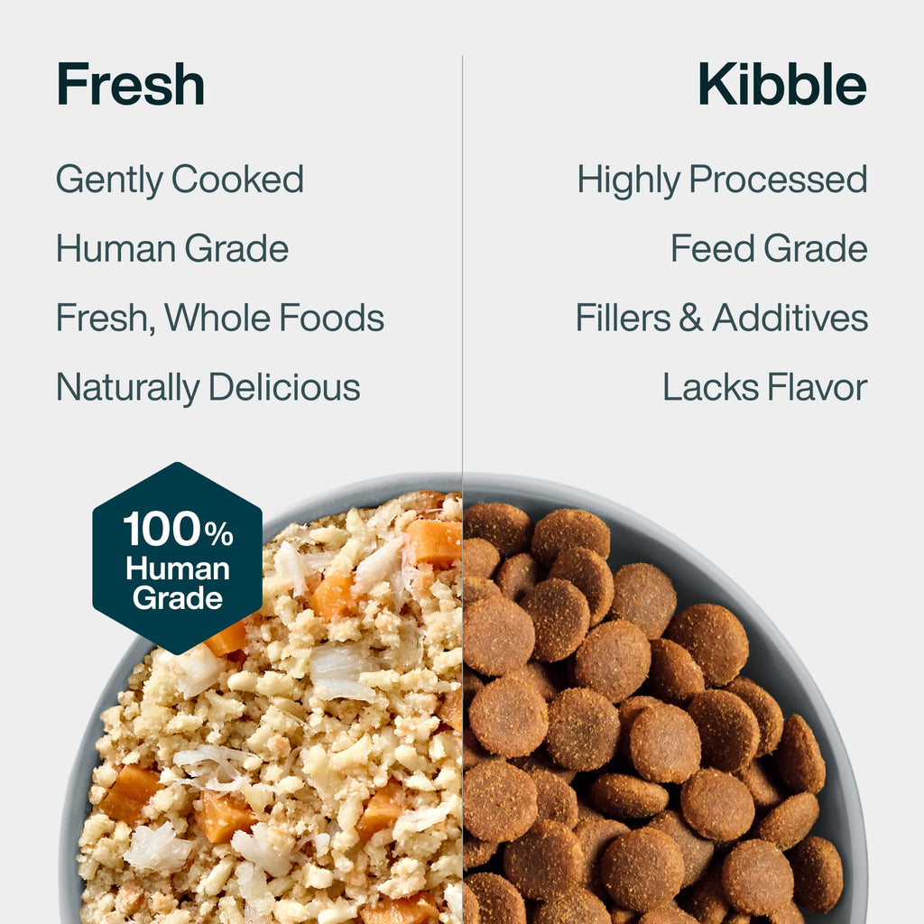 Digestive Care
