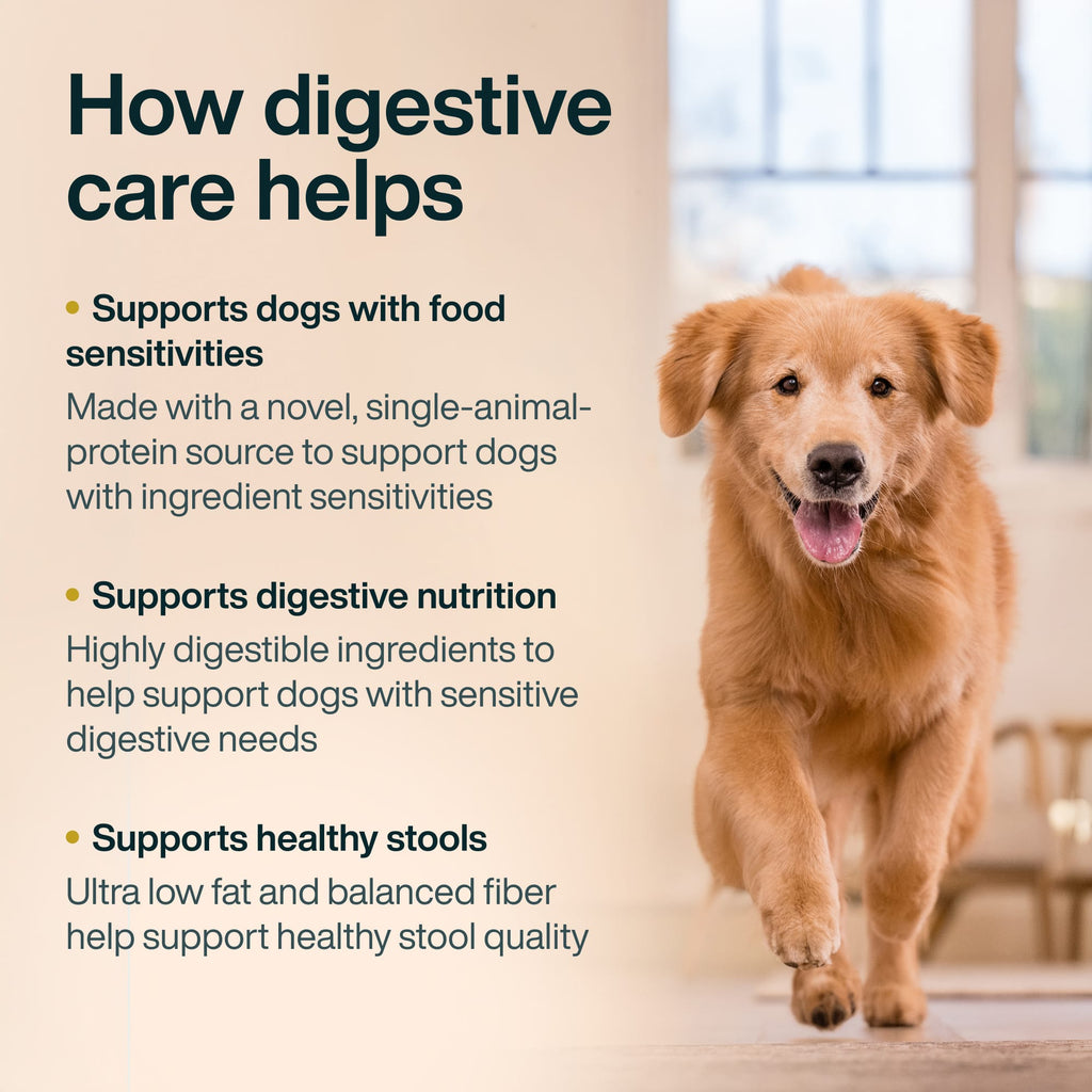 Digestive Care