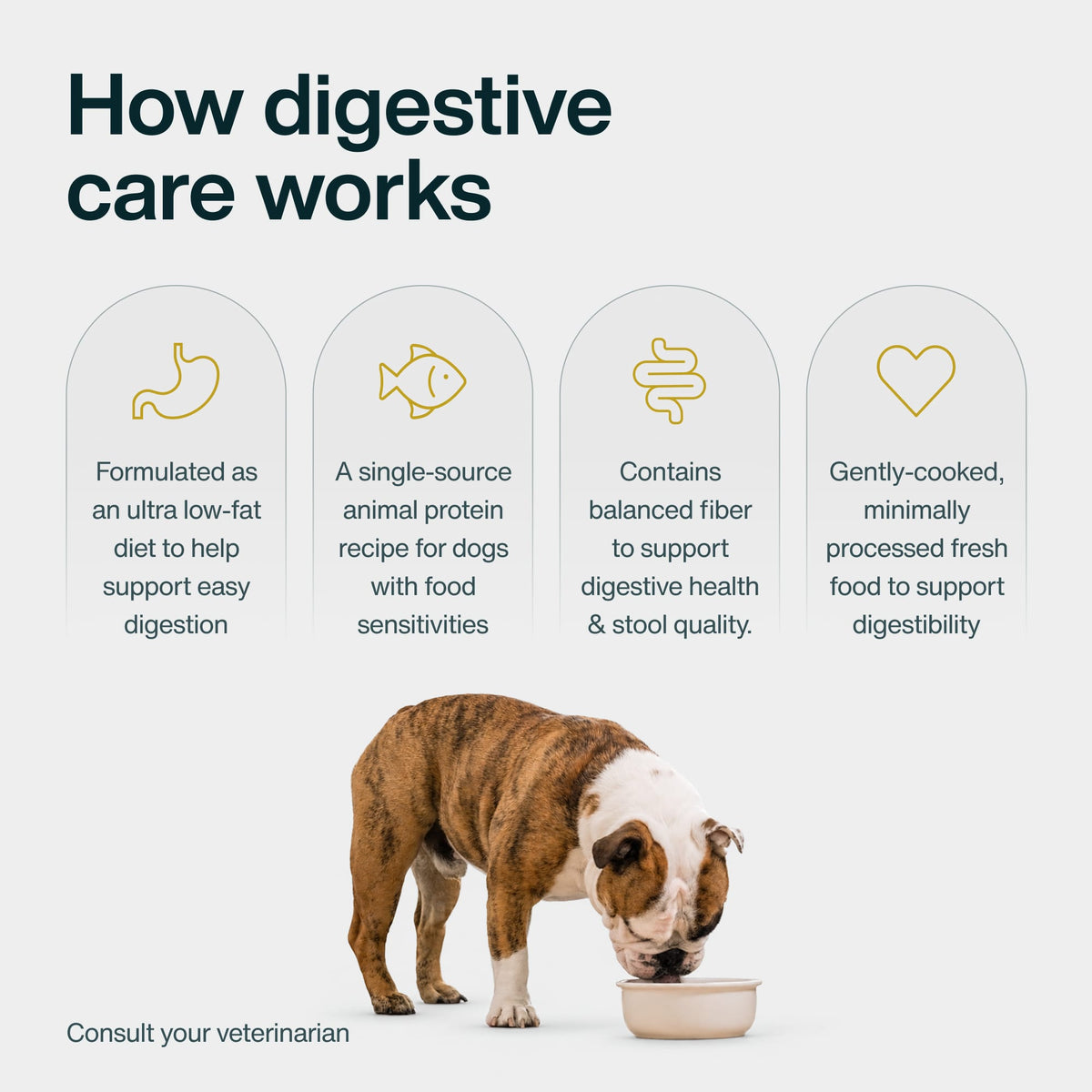 Digestive Care