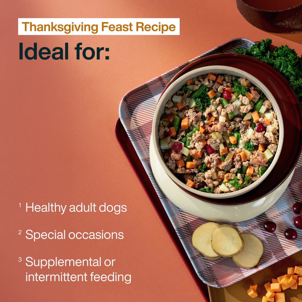 Thanksgiving Feast – Limited Edition