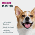Joint & Skin Support