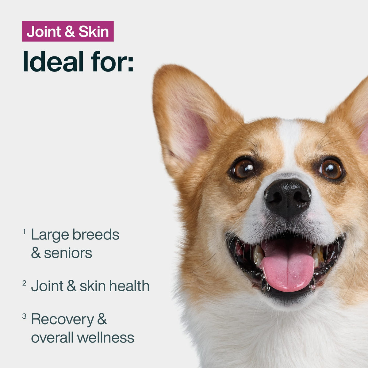 Joint & Skin Support
