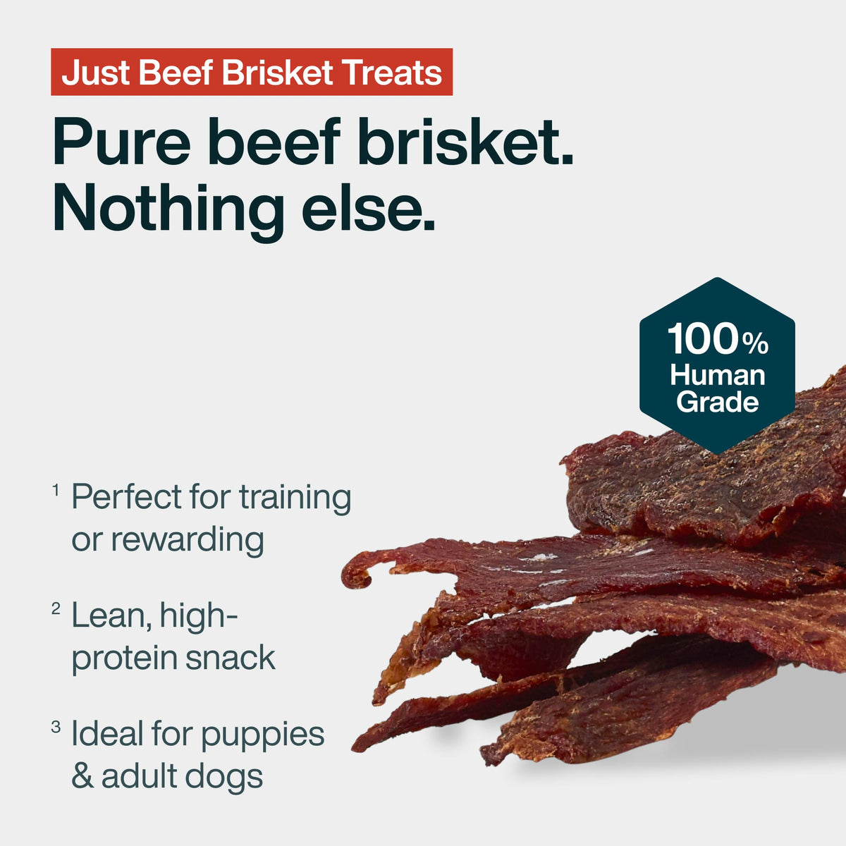Beef Brisket Treats