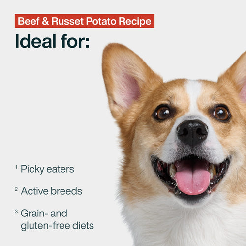 Beef & Russet Potato Recipe
