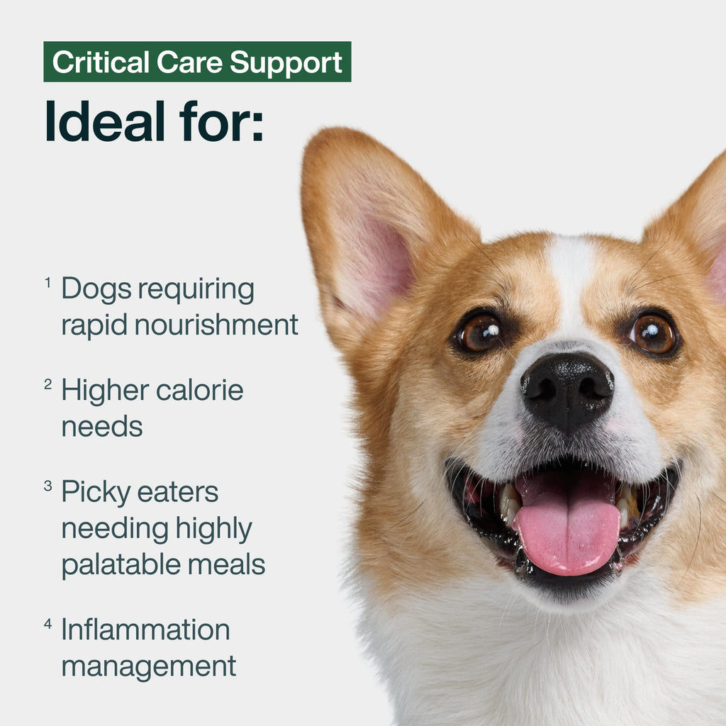 Critical Care Support