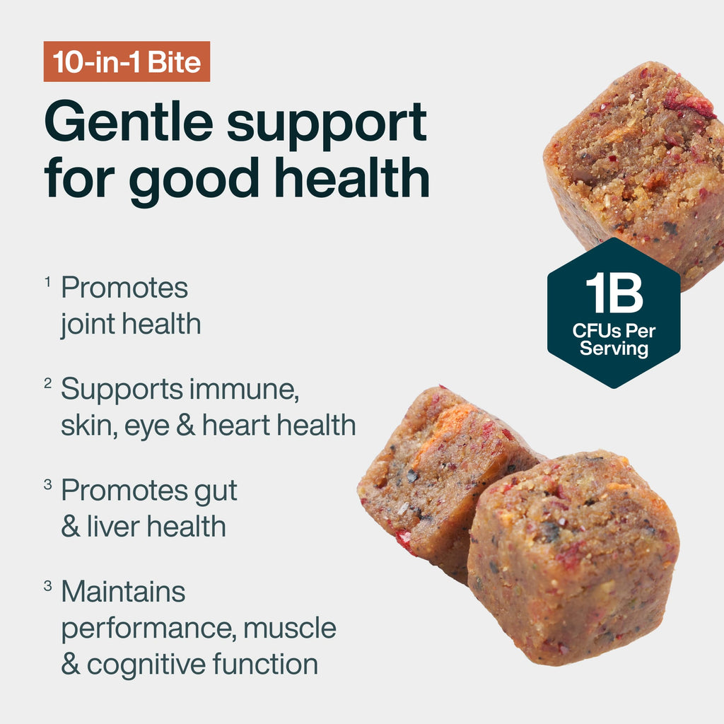 10-in-1 Bite