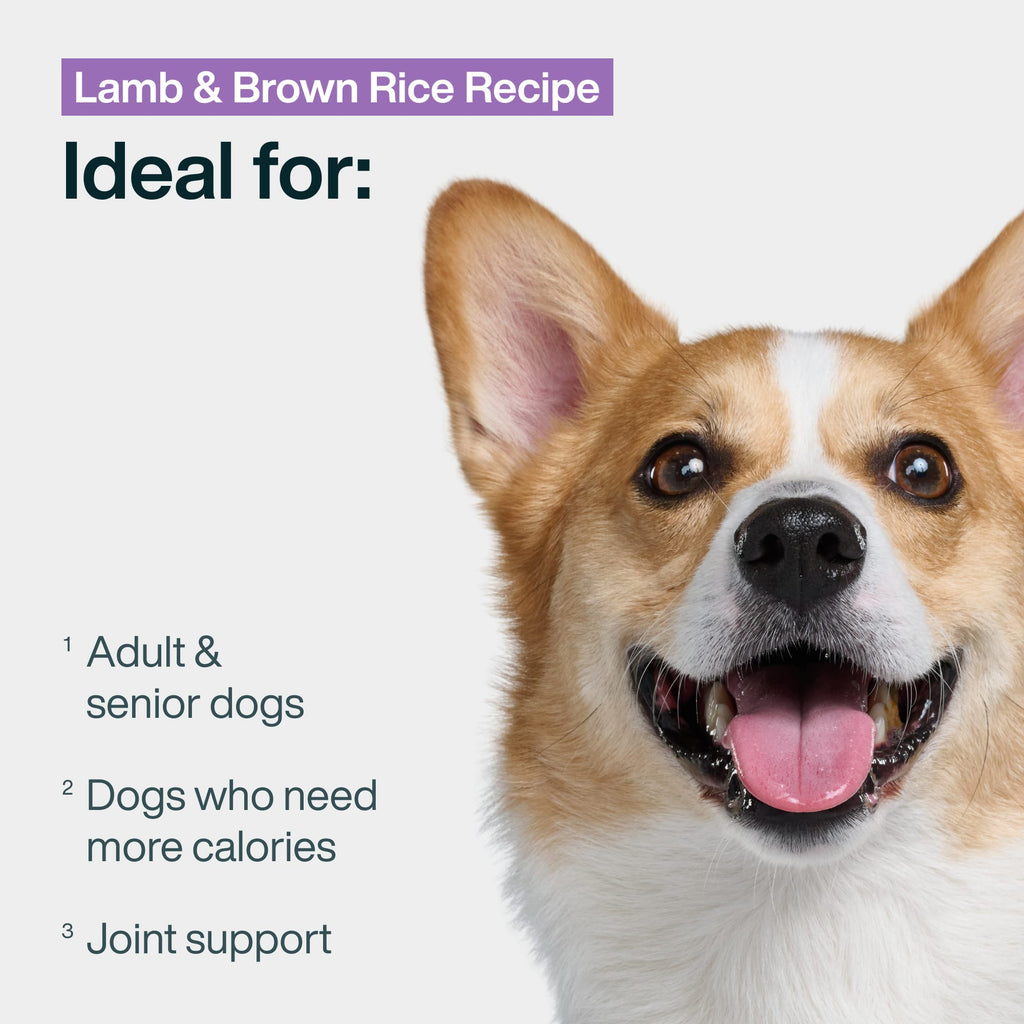 Lamb & Brown Rice Dog Food