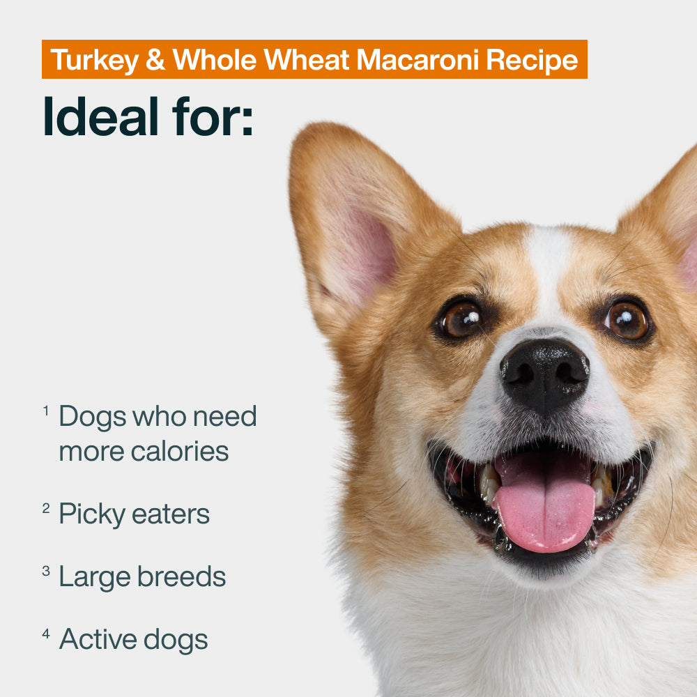 Pantry Fresh Turkey & Whole Wheat Macaroni