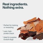 Healthy Skin & Coat Treats Bundle