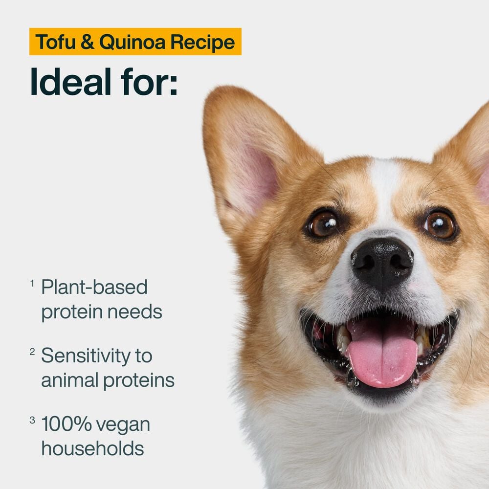 Tofu & Quinoa