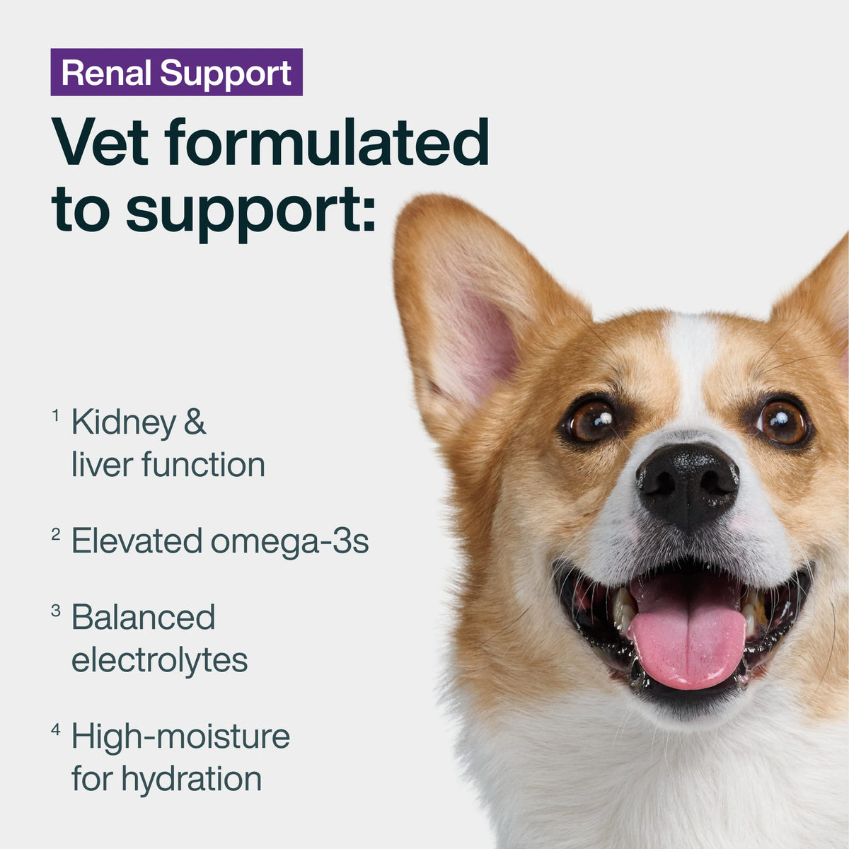 Renal Support Low Protein