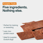 Pumpkin Dog Treats