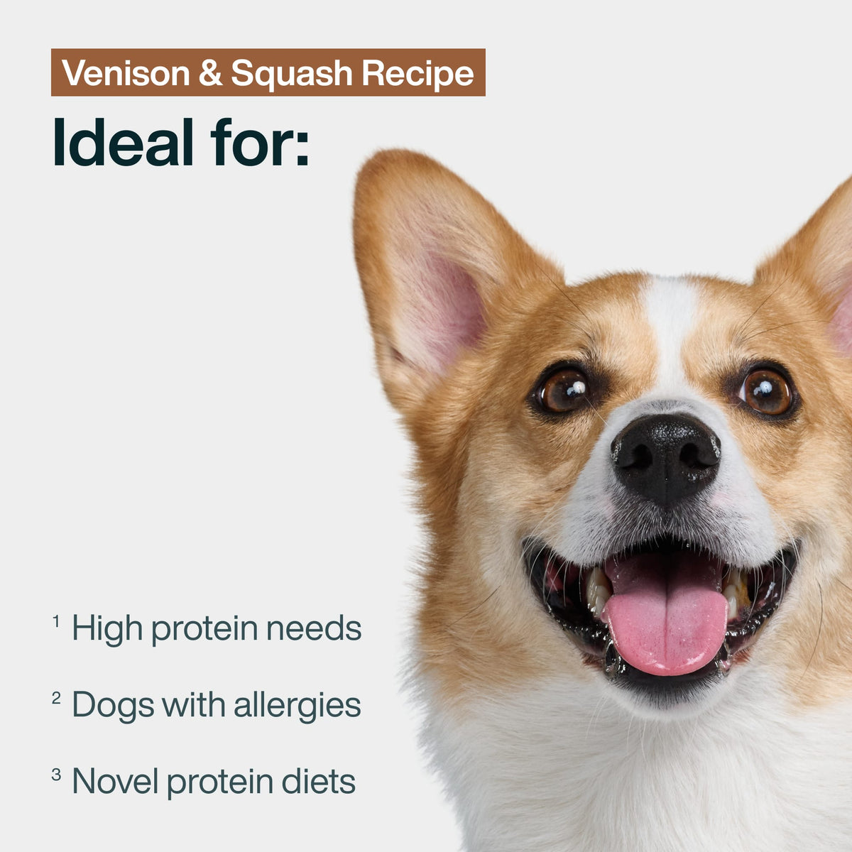 Venison & Squash Dog Food