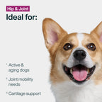 JustFresh Boost Meal Topper for Hip & Joint Support