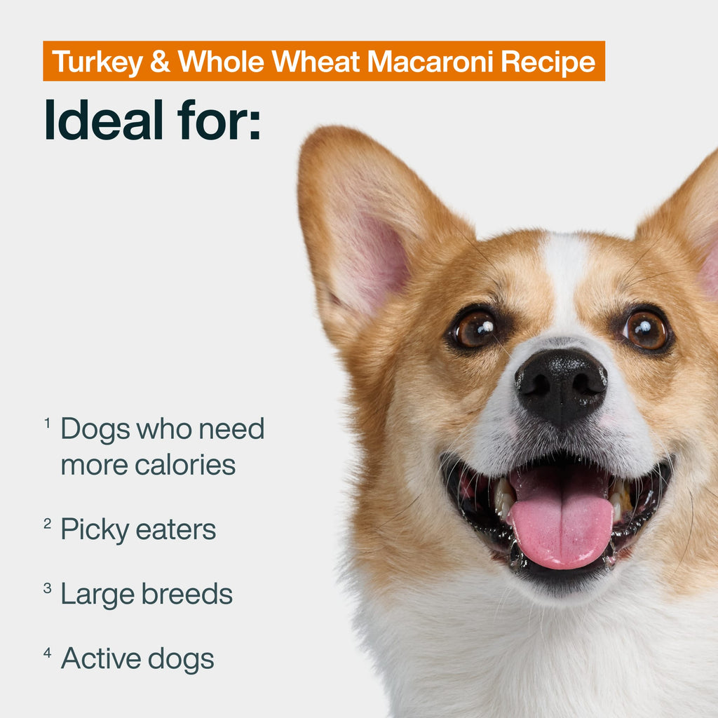 Turkey & Whole Wheat Macaroni Recipe