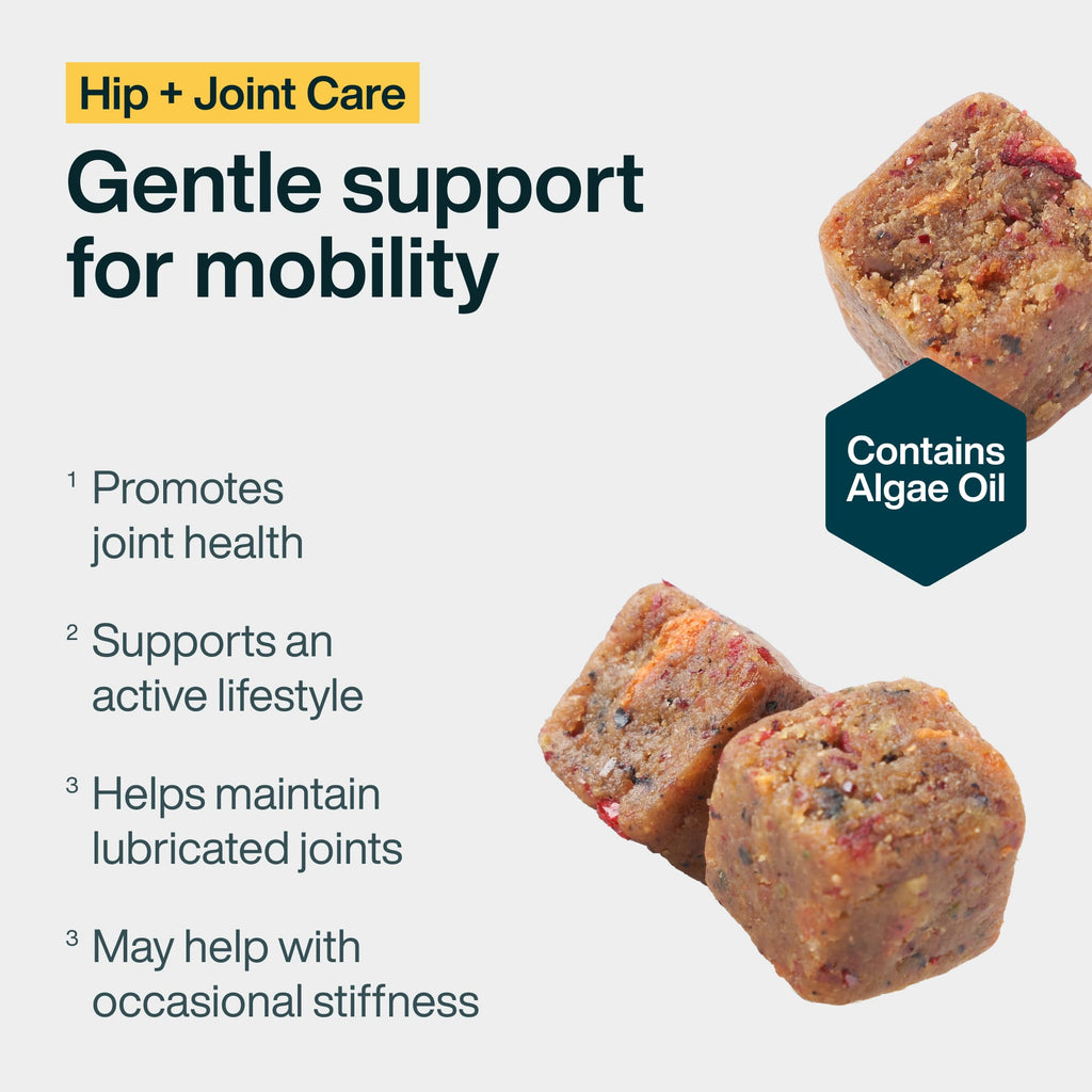 Hip + Joint Care