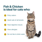 JustCats Fish & Chicken