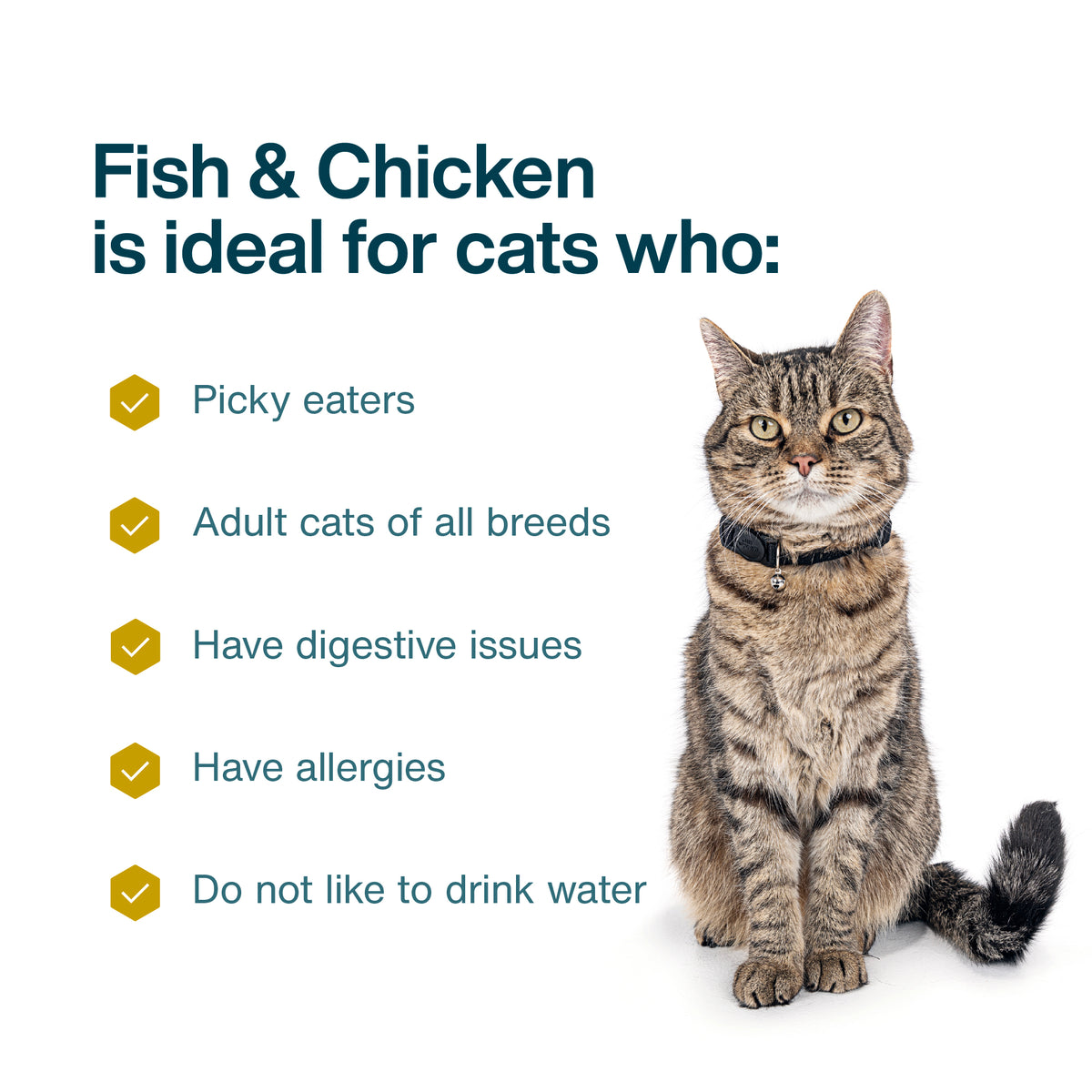 JustCats Fish & Chicken