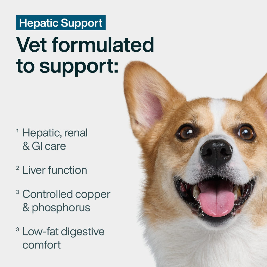 Hepatic Support Low Fat