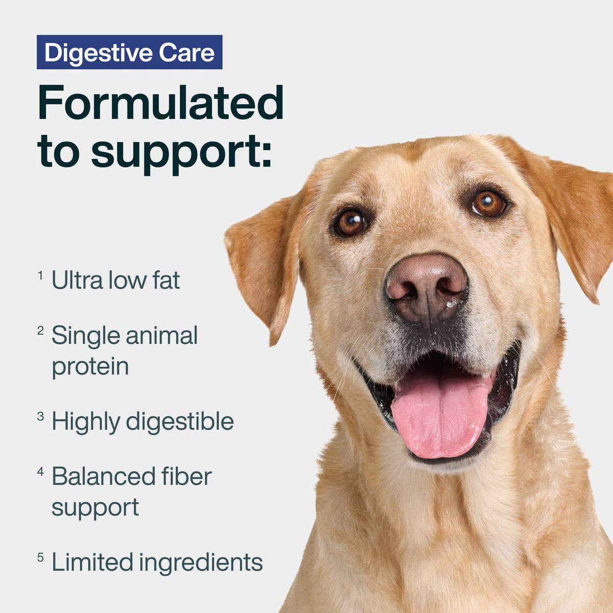 Digestive Care