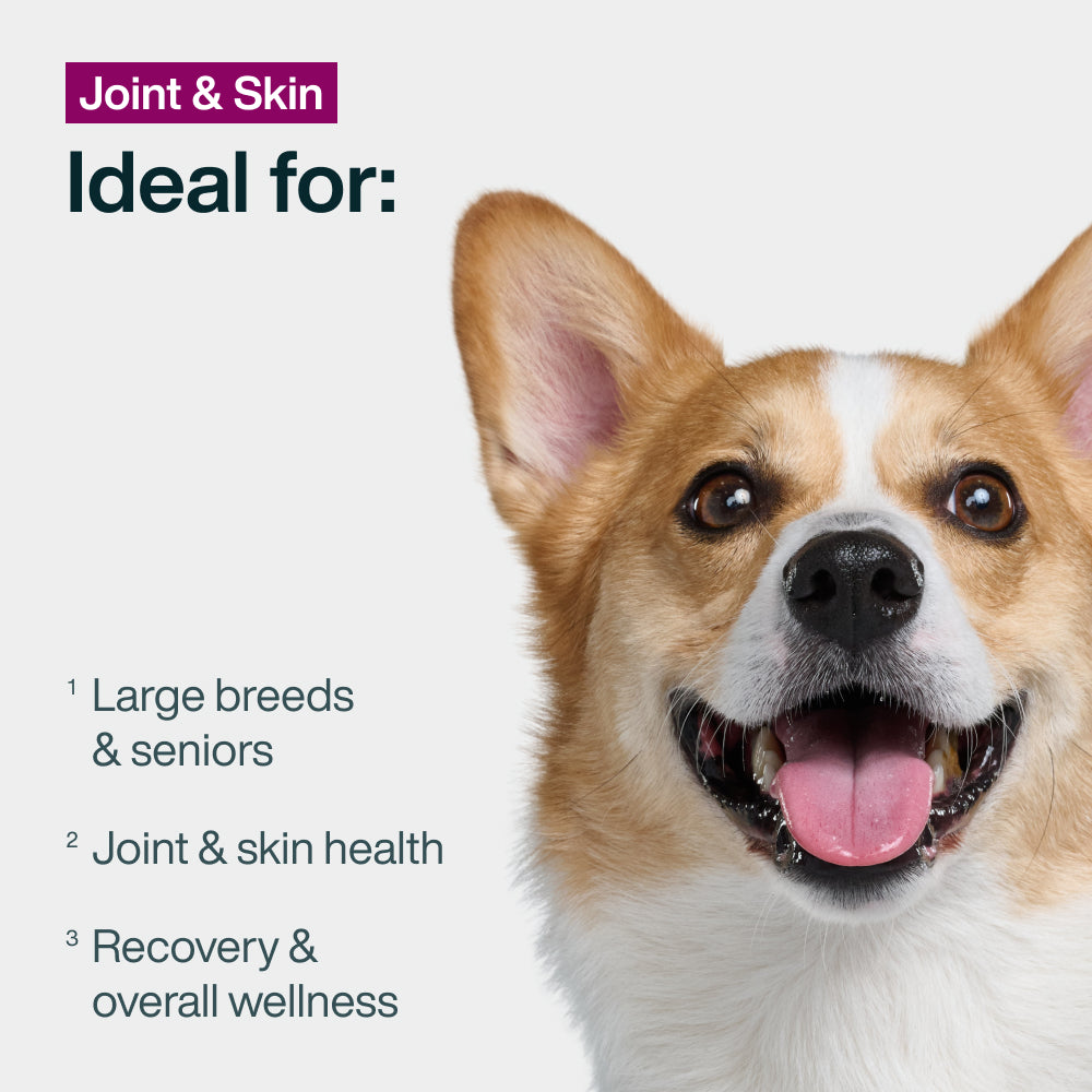 Pantry Fresh Joint & Skin Support