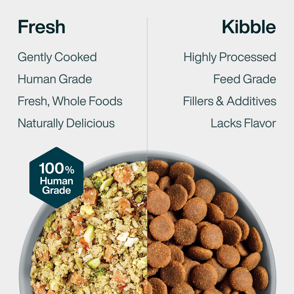 Hepatic Support Low Fat