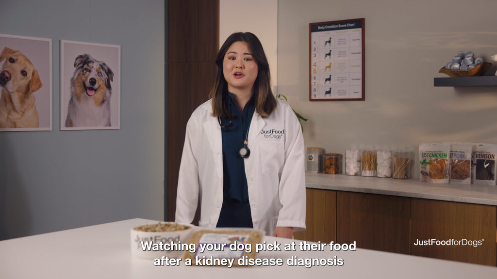 Renal Support Low Protein