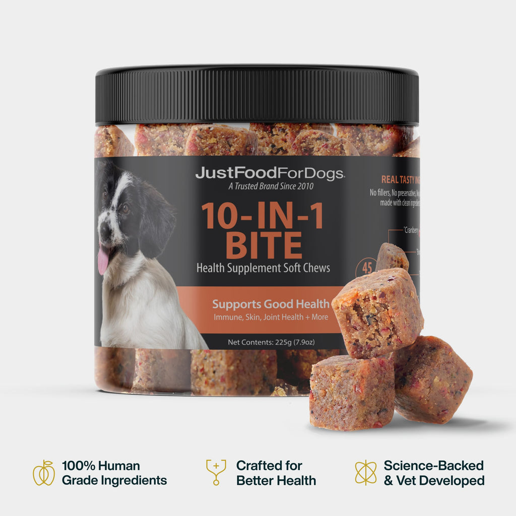 10-in-1 Bite