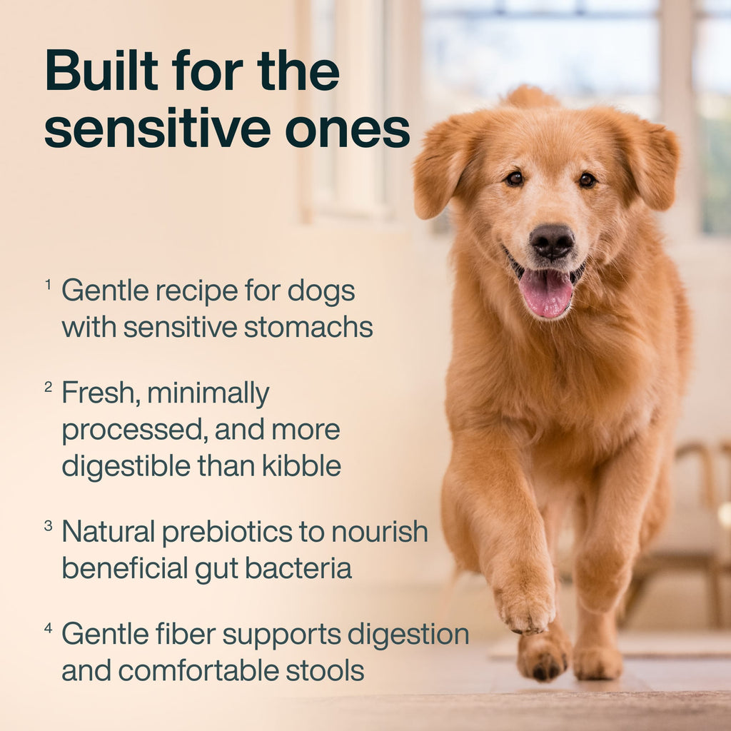 JustFresh Sensitive Stomach