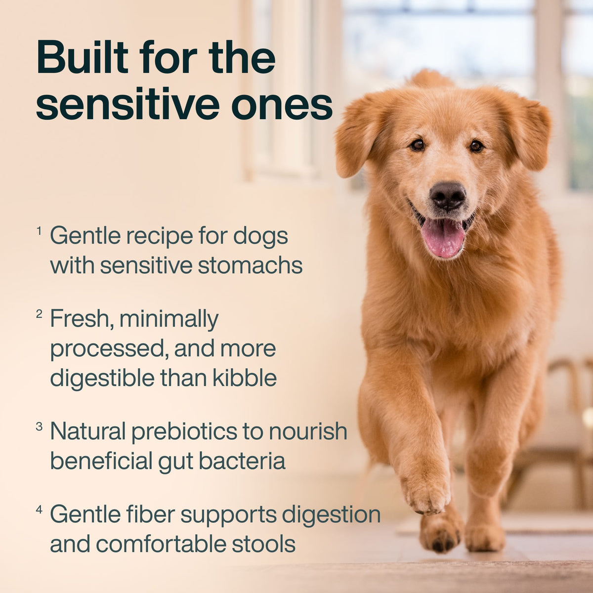 JustFresh Sensitive Stomach
