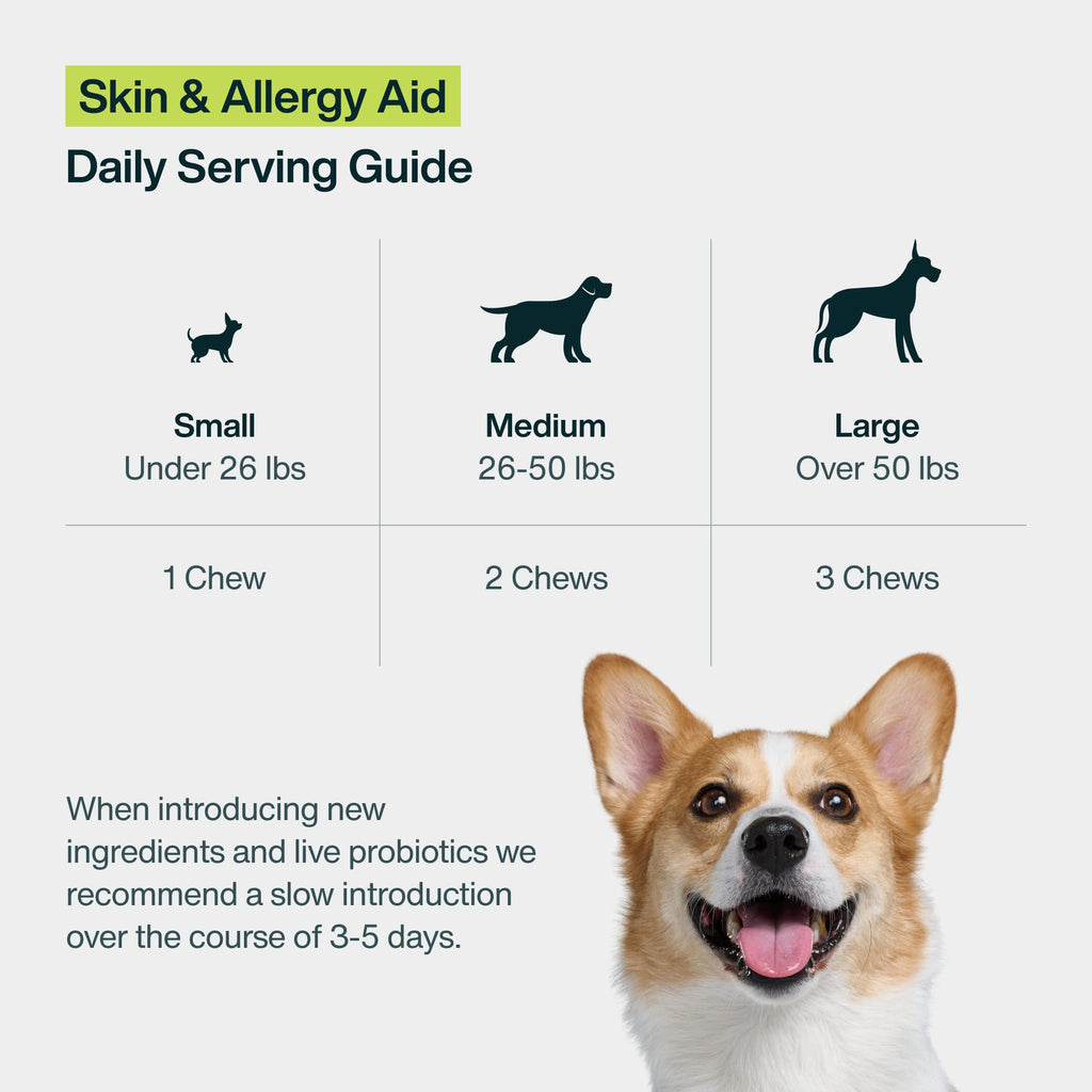 Skin & Allergy Aid