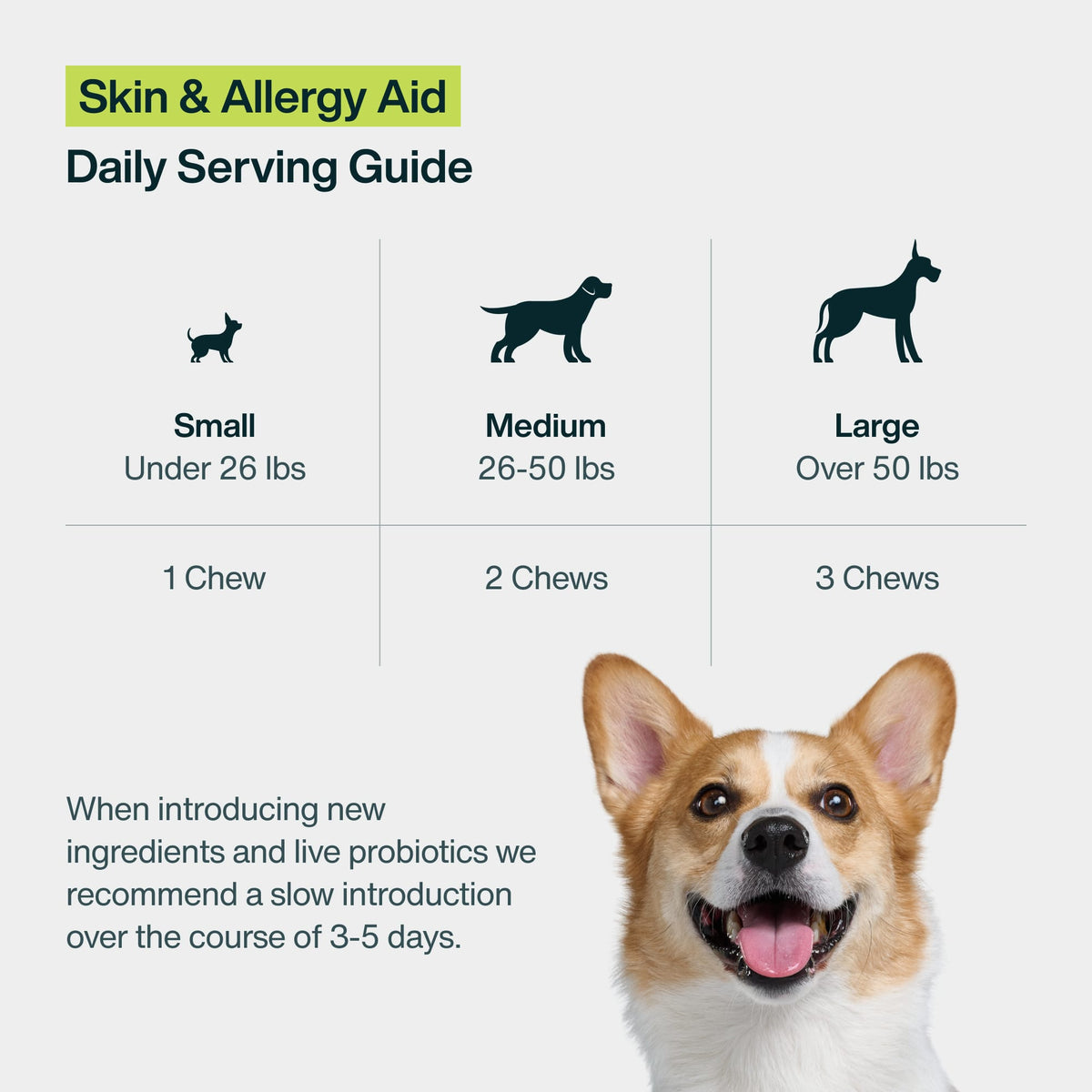 Skin & Allergy Aid