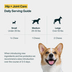 Hip + Joint Care