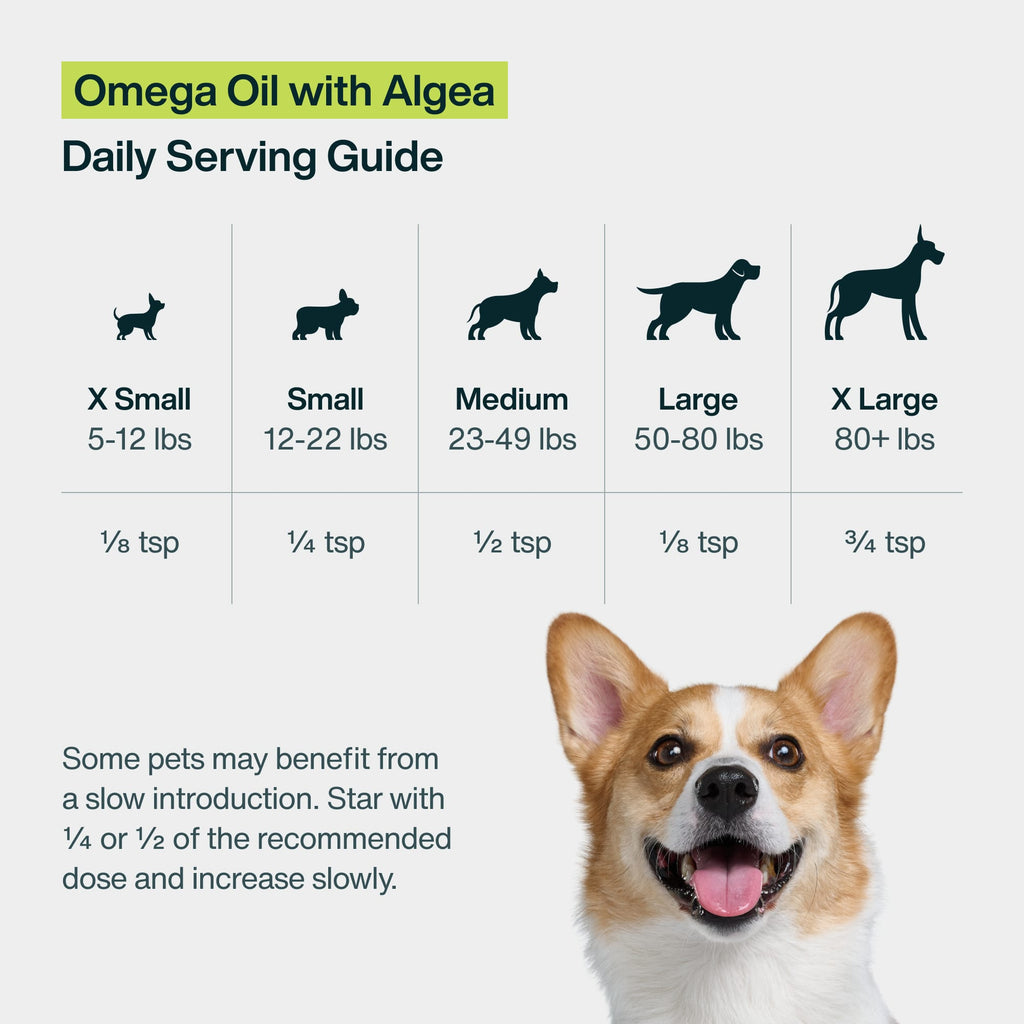 Omega Oil with Algae