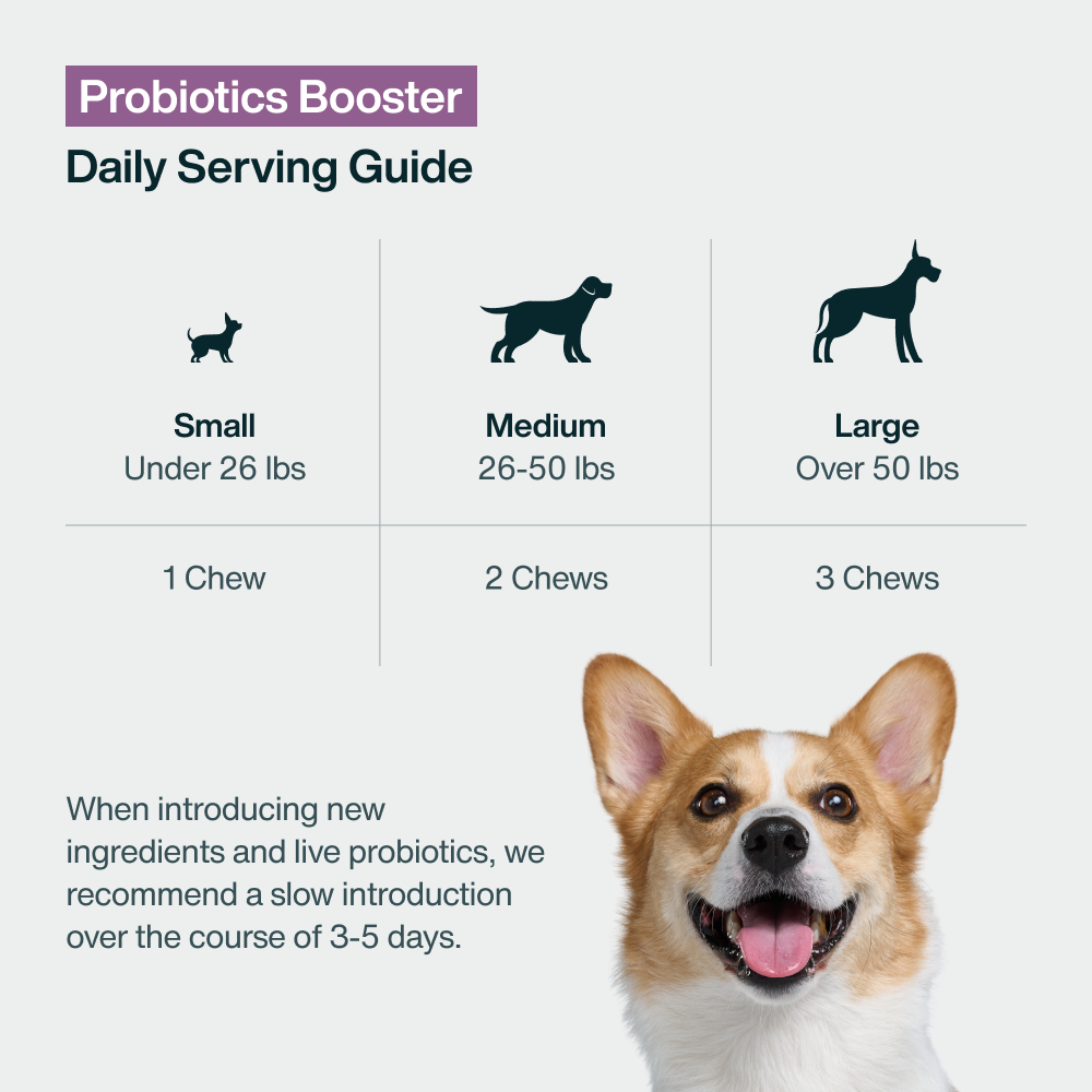 Probiotic Booster