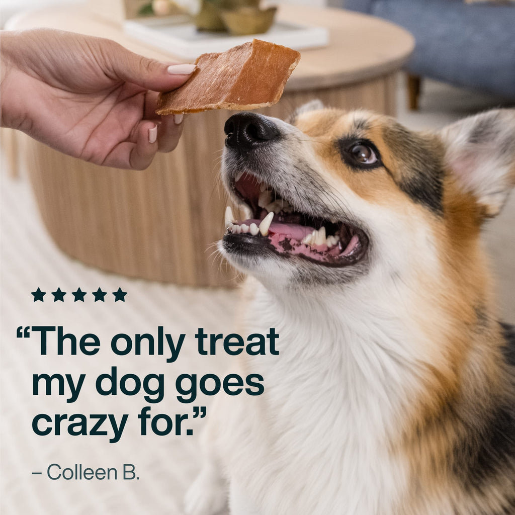 Venison Dog Treats