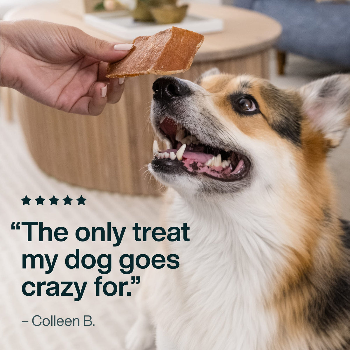 Venison Dog Treats