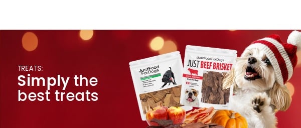 healthy meals for dogs banner tablet