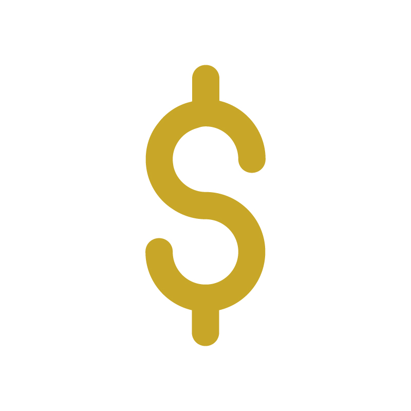 money icon
