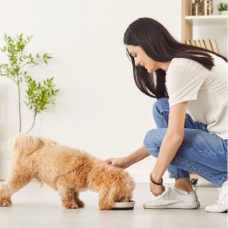 a customer holding her small dog while getting a product consultation by a Nutrition Consultant inside of Just Food For Dogs costa mesa kitchen